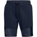Shorts/Bermuda sur Grenoble : Short Under Armour Short SHORT HOMME