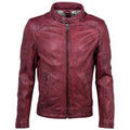 Blouson Mauritius Blouson pegashoes-sas Cave SF W18