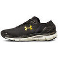 Baskets homme sur Grenoble : Baskets basses Under Armour Basket BASKET HOMME