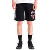 Short New-Era Short SHORT HOMME NBA LOGO