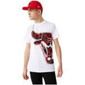 Tee-shirts sur Grenoble : T-shirt New-Era Tee-shirt TEE-SHIRT HOMME