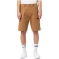 Short Dickies Short SHORT HOMME DUCK