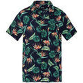 Chemises/chemisettes sur Grenoble : Chemise Schott Chemise CHEMISE HOMME SHRIVER