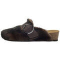 Chaussons / Pantoufles sur Grenoble : Chaussons Scholl Chausson MONIQUE