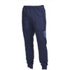 Jogging Nike Pantalon de surv&ecirc;tement AIR MAX Bleu