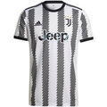 Tee-shirts sur Grenoble : T-shirt adidas Maillot Sport Performance