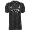 Tee-shirts sur Grenoble : T-shirt adidas Maillot Sport Performance