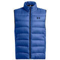 Veste Under Armour Veste UA LEGEND DOWN