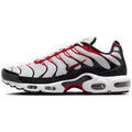 Baskets homme sur Grenoble : Baskets basses Nike Basket Air Max Plus