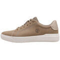 Baskets homme sur Grenoble : Baskets basses Timberland Seneca Bay Oxford
