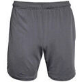 Shorts/Bermuda sur Grenoble : Short Under Armour Short UA Tech Vent7in