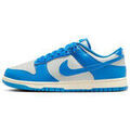 Baskets homme sur Grenoble : Baskets basses Nike Basket DUNK LO RETRO