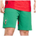Short Puma Short FRMF SHORT Grenoble