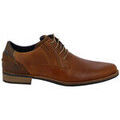 Ville basse Bullboxer 379k20631a