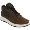 Baskets homme sur Grenoble : Baskets Geox u36apa