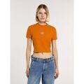 Tee-shirts sur Grenoble : T-shirt Dickies MAPLE VALLEY DK0A4XPO-K641 AUTUMN MAPLE