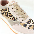 Baskets femme sur Grenoble : Baskets Teddy Smith Basket Beige L&eacute;opard Beige
