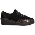 Baskets Armony 76054 Grenoble