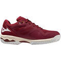 Chaussures Mizuno Exceed