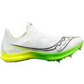Running sur Grenoble : Chaussures Saucony Endorphin Cheetah