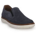 Baskets homme sur Grenoble : Baskets Zen FROG OCEANO