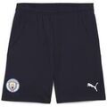 Short Puma 775114-06 Grenoble
