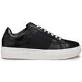 Baskets homme sur Grenoble : Baskets basses Cult CLM363700