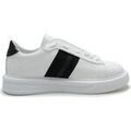Baskets basses Exton 319