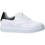 Baskets basses Exton 954