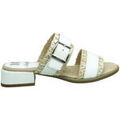 Mules femme sur Grenoble : Mules CallagHan 30305