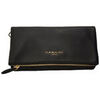 Pochette Nannini 17236
