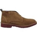 Baskets homme sur Grenoble : Baskets montantes CallagHan 60401