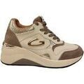 Baskets femme sur Grenoble : Baskets basses Alberto Guardiani AGW434100