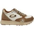 Baskets femme sur Grenoble : Baskets basses Alberto Guardiani AGW434800