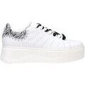Baskets femme sur Grenoble : Baskets basses Cult CLW441801