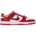 Baskets homme sur Grenoble : Baskets Nike Dunk Gym