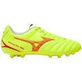 Bottes homme sur Grenoble : Bottes Mizuno Monarcida Neo Iii Select