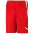 Short Puma Shorts TeamLiga Performance Rouge Grenoble