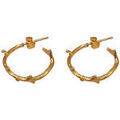 Boucles oreilles Les Reines Boucles d'oreilles Branchlet (Petite) Grenoble