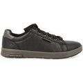 Baskets Skechers - Grenoble