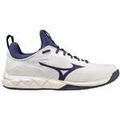 Chaussures Mizuno Alpine Guide Grenoble