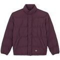 Blouson Dickies SCOBEY PUFFER JACKET PLUM PERFECT Grenoble