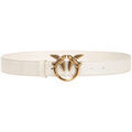 Ceintures sur Grenoble : Ceinture Pinko -
