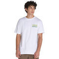 Tee-shirts sur Grenoble : T-shirt Vans SHOP FRONT SS