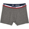 Boxers Levis SPORTSWEAR LOGO BOXER BRIEF 2P Bleu