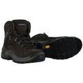 Chaussures Lowa Renegade Gore-Tex Mid Marron