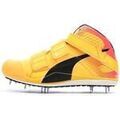 Chaussures Puma Evospeed