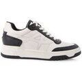 Baskets basses Ash -