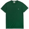Tee-shirts sur Grenoble : T-shirt Lacoste T-Shirt e Polo
