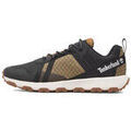 Baskets homme sur Grenoble : Baskets basses Timberland Basket Winsor Trail Low